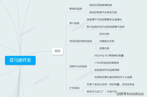 湖北软件开发与亚马逊开发思维导图（上） 构建高效跨境业务的技术蓝图