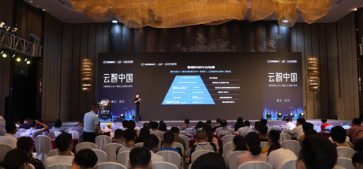 湖北省软件行业协会 引领区域软件产业发展的中坚力量