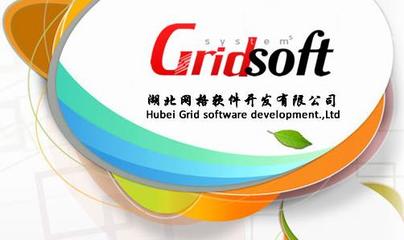 黄石软件开发公司典范 湖北网格软件开发公司的卓越之路